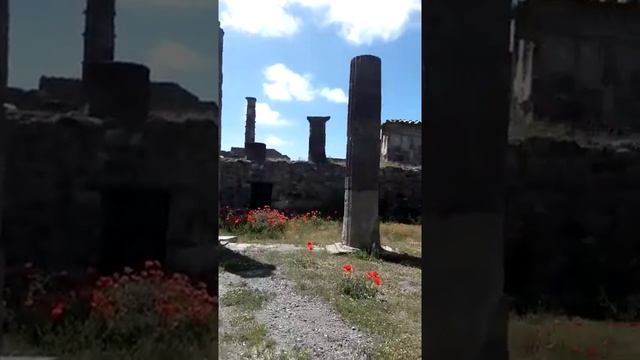 Италия. Неаполь. Раскопки города Помпеи. Italy. Campania. Napoli. Excavations of Pompei - part 13