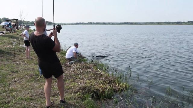 отчёт с соревнований по ловле карпа в клубе БЕЛЫЙ АМУР смотреть онлайн