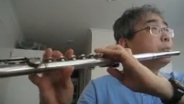 찬송가 Hymn - 150 장 - 무덤에 머물러 (Christ Arose) - Pearl Nickel Flute смотреть онлайн