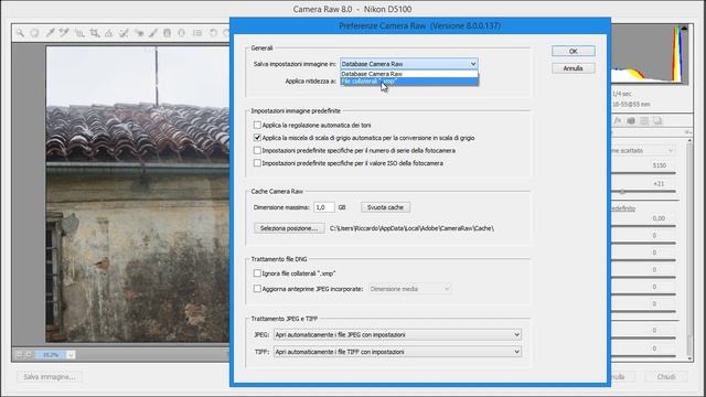 Corso Camera Raw - Lezione 5 - Strumenti plugin Raw смотреть онлайн