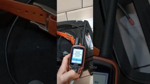Garmin Astro 320 и ошейник т5