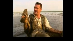 Анаконда против _ профессионального ловца