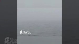 ,,ПЕНИЕ русалок,,