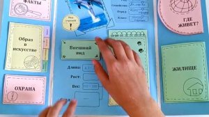 Лэпбук «О животном»