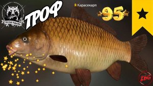 КАРАСЕКАРП ТРОФ  о. МЕДНОЕ ⭐ РУССКАЯ РЫБАЛКА 4 |  RUSSIAN FISHING 4@Z-B-G