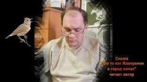 "Про то как лесной Жаворонок в город попал"