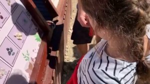 День 11 ~ красная поляна | ЗАСТРЯЛИ НА КАНАТНОЙ ДОРОГЕ | мальчики приболели ? СОЧИ