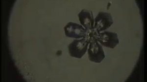 Источник Сергия Радонежского