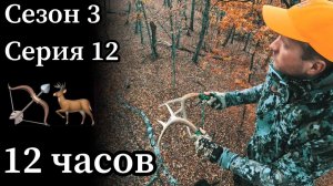 Провёл 12 часов в засидке на дереве на охоте с луком