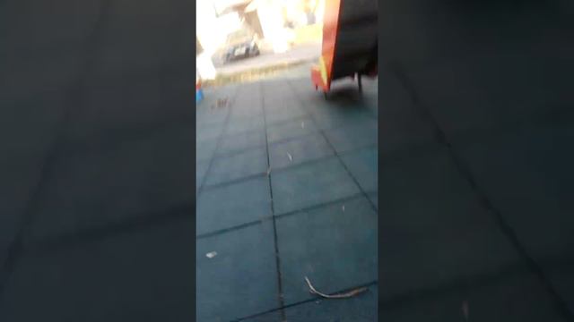 Догонялки