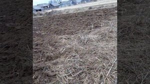 Минитрактор Русич 220, видео от нашего клиента