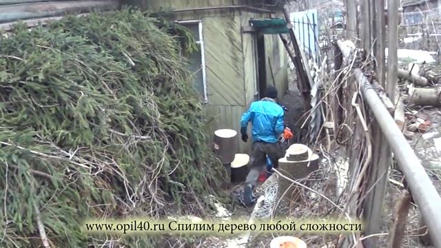 Удалить дерево любой сложности смотреть онлайн