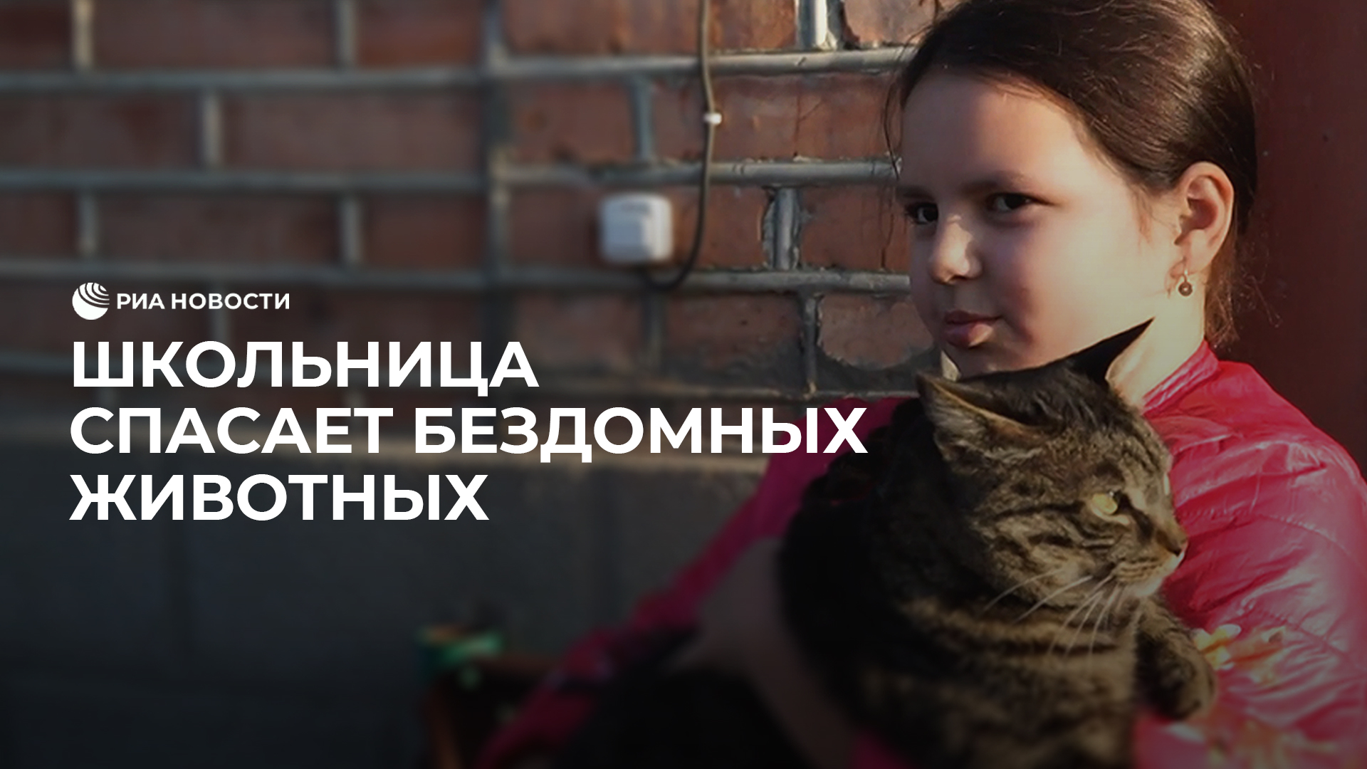 Школьница спасает бездомных животных