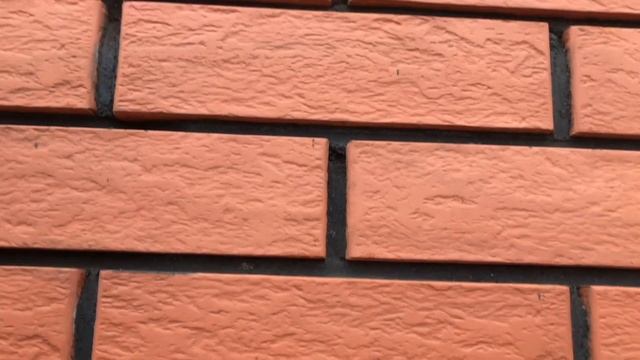 4 дома за 2021 год.Короткий отчет. смотреть онлайн