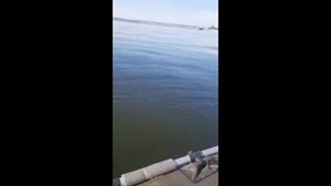 Средняя Волга июль.22г