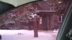 Хряк не может покрывать свинок, растянул задние лапы. Разъехались задние лапы у хряка.