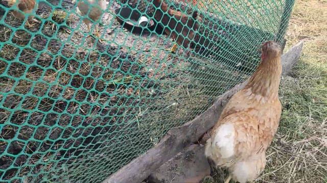 Вкусный завтрак ?/Красивые цветы ???/Наши ???? смотреть онлайн