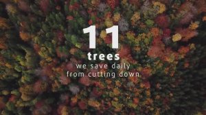 11 деревьев мы спасаем ежедневно от вырубки. Атлантис-Пак