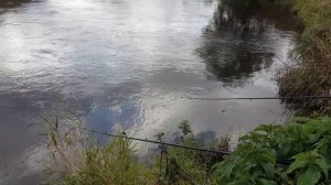 Осенний ЖОР голавля. Ловля КРУПНОГО ГОЛАВЛЯ фидером на ХЛЕБ.