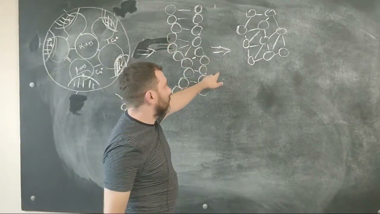 11. Молоко как полидисперсная система. Часть 1