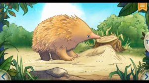 ЛУЧШИЕ И КЛАССНЫЕ ЖИВОТНЫЕ АВСТРАЛИИ