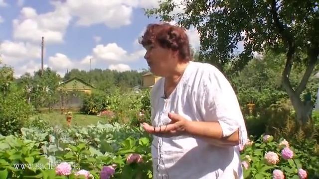 Уютная дача. Идеи для сада и огорода.