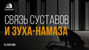 Связь между суставами человека и зуха-намазом