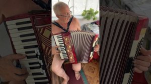 Barcarole Magister Piano accordion, 80 Bass, 3 voices, Professional Accordion, 5+3 Registers,ON SAL