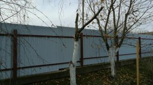 Заточка цепи бензопилы своими руками, напильником с державкой. Вырезаем старые яблони.