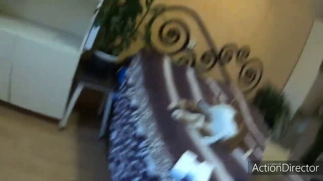 Поисковой магнит/Новый контент на канале и о развитии канала./ смотреть онлайн