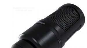 Behringer BM-1 Studio Condenser Microphone.