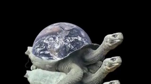 Turtles all the way down 2024. Черепахи – и нет им конца (Turtles all the way down) Постер.