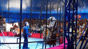 Цирк Vivat 16.07.2022 | Шапито | Чебоксары