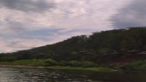 Большая белая река, от Бельска до Мотово.