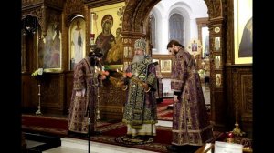 МИТРОПОЛИТ АРСЕНИЙ. СЛОВО ПОСЛЕ 2Й ПАССИИ.22.03.2020.