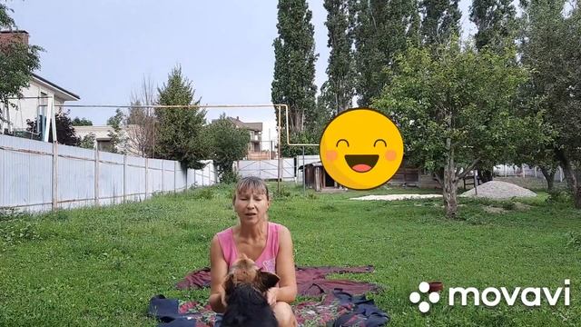 СТИРКА ПОПОН ДЛЯ ЛОШАДЕЙ? с помощницей ? смотреть онлайн