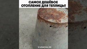 Самое дешевое отопление для теплицы