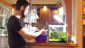 НАНО АКВАРИУМ. ПОДМЕНА ВОДЫ В ТРАВНИКЕ. ЧЕГО НЕ ХВАТАЕТ РАСТЕНИЯМ? СТОИТ ЛИ ЗАПУСКАТЬ ТРАВНИК?