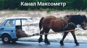 Женат на РСП и Диктует отцу неродного ребенка свои условия. Максометр