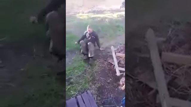 Эффект медовухи, или что происходит с вистибулярярным аппаратом после употребления медовухи. смотреть онлайн