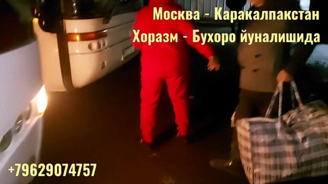 Москва - Хоразм автобус / Москва - Бухоро автобус / Москва - Узбекистан автобус #узбекистан