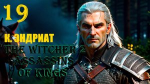 ВЕДЬМАК И КОРОЛЕВА ЭНДРИАТ - THE WITCHER 2 ASSASSINS OF KINGS - ПРОХОЖДЕНИЕ НА 100 ПРОЦЕНТОВ #19