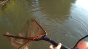 Рыбалка в Каргаполово Сузун