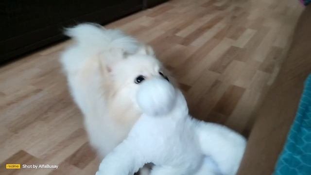 Утрозлыдень.mp4