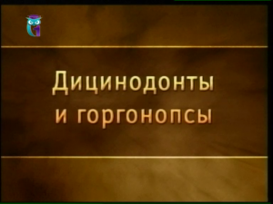 Предки птиц и зверей. Урок 8. Дицинодонты и горгонопсы