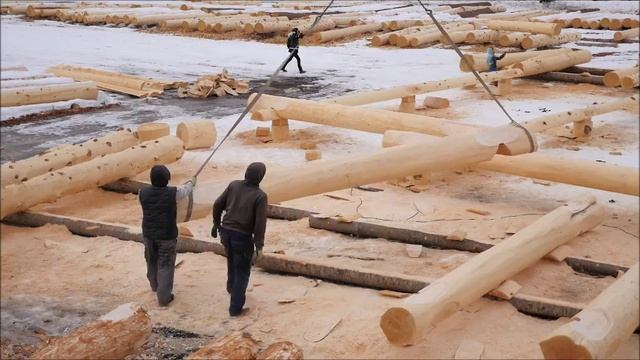 Сезон 2017. Первый окладной. Сруб из кедра 40-42-44 см. смотреть онлайн