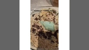 Штрудель с тестом Фило с начинкой грушей и шоколадом.