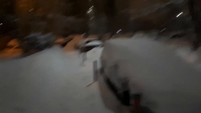 Рекордный снегопад в Москве. Ночная прогулка с собаками (2) смотреть онлайн
