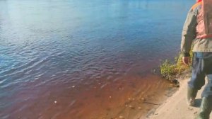 рыбалка на налима.ловим на карася удачная рыбалка !!! хорошая время проведения на природе.