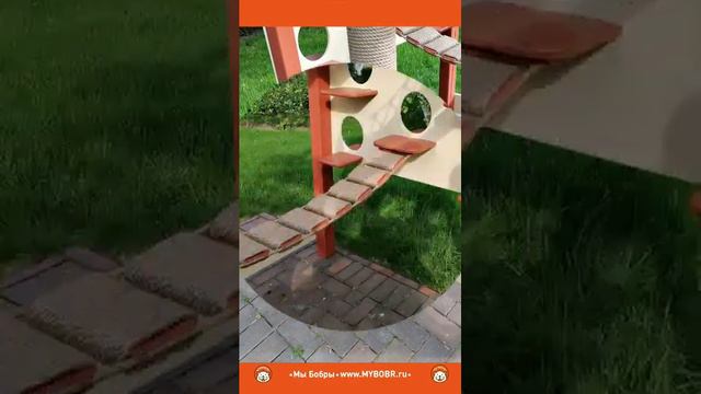 Уличный котодром  комплекс для кошек от Мы Бобры